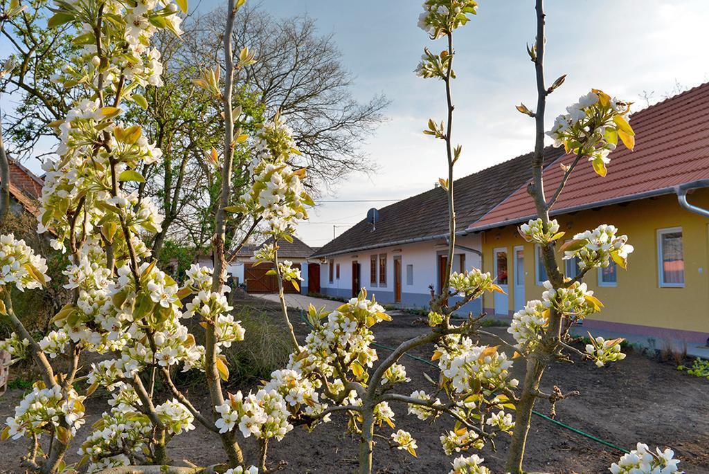 Rigófütty Vendégház Tiszaalpar Extérieur photo