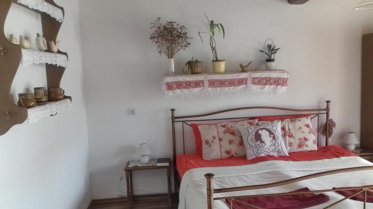 Rigófütty Vendégház Tiszaalpar Extérieur photo