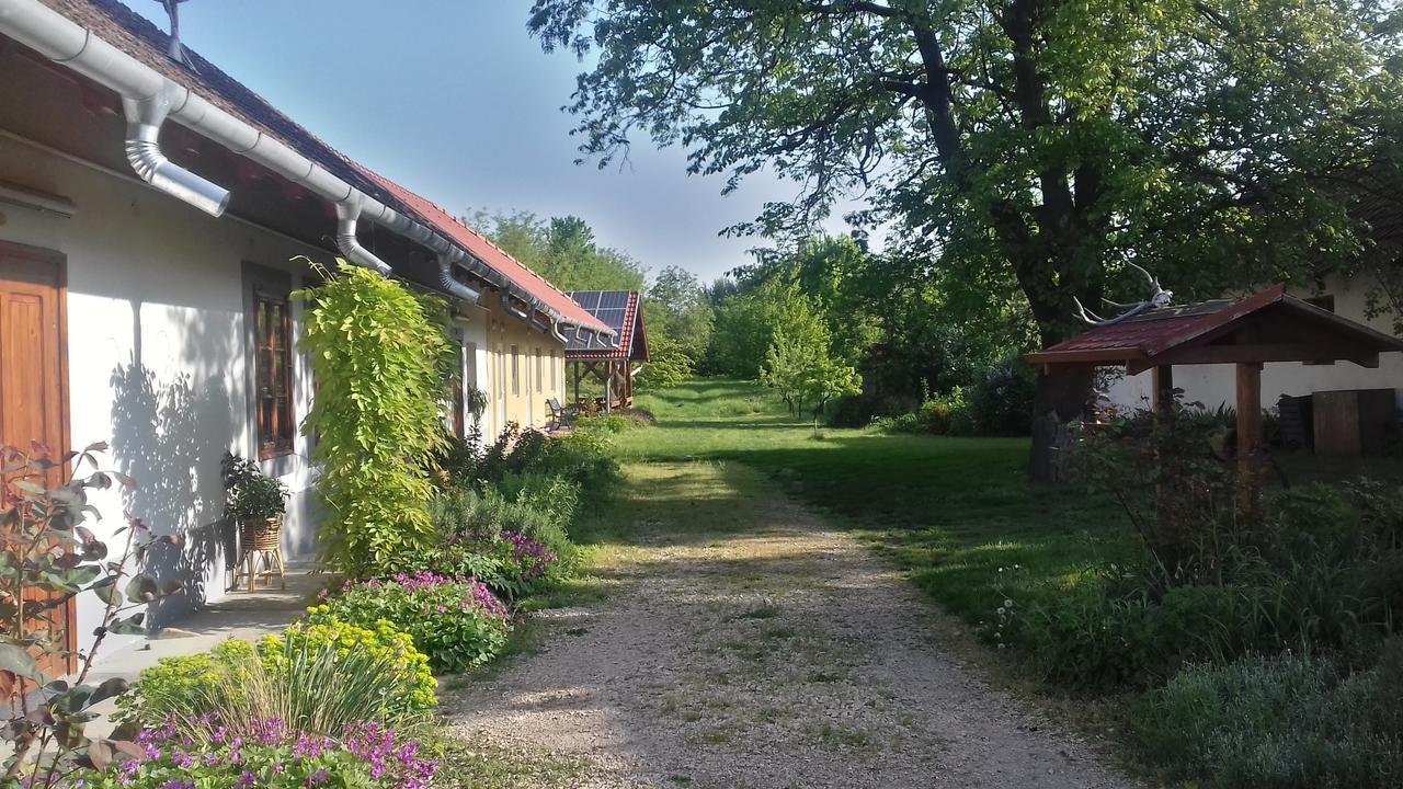 Rigófütty Vendégház Tiszaalpar Extérieur photo